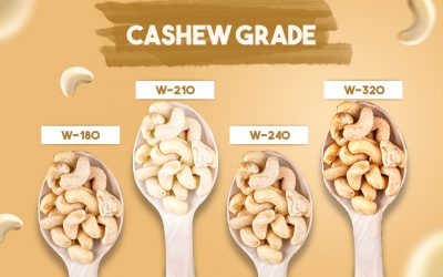 All You Need to Know About Cashew Grades