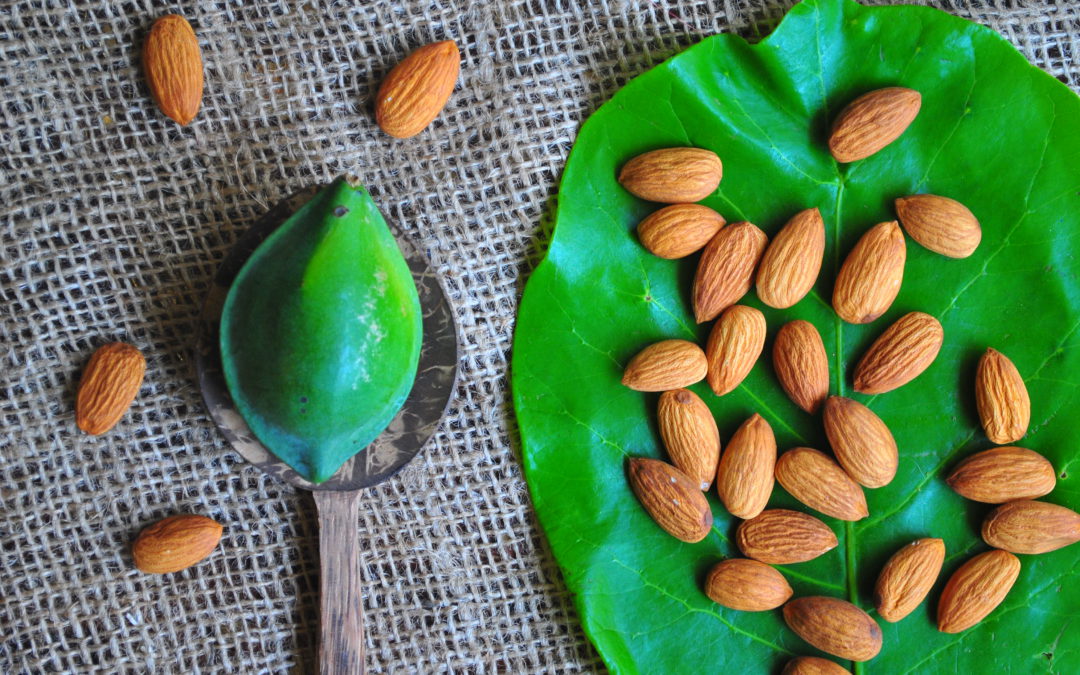 5 Delicious Ways of Making Almonds a Healthy Part of Your Diet